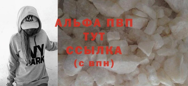 стаф Алзамай