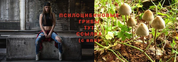каннабис Алексеевка