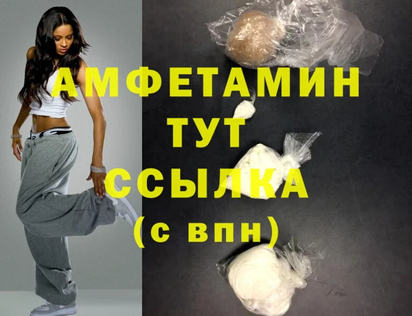 стаф Алзамай