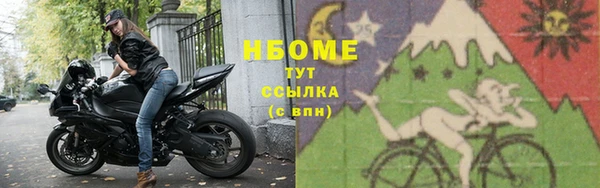 стаф Алзамай
