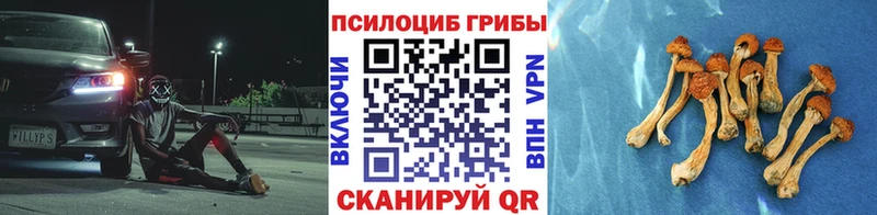 Галлюциногенные грибы Cubensis Переславль-Залесский